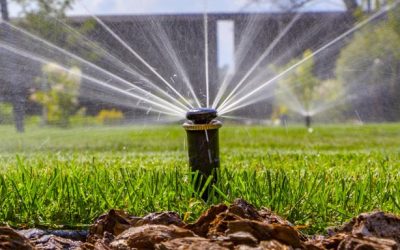 Signs Of Sprinkler System Problems