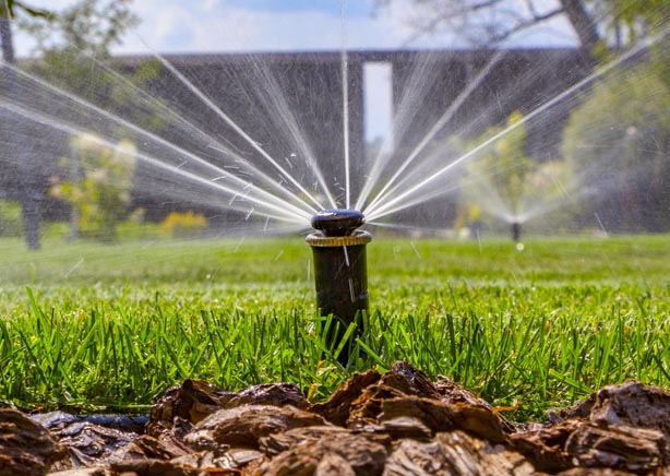 Signs Of Sprinkler System Problems