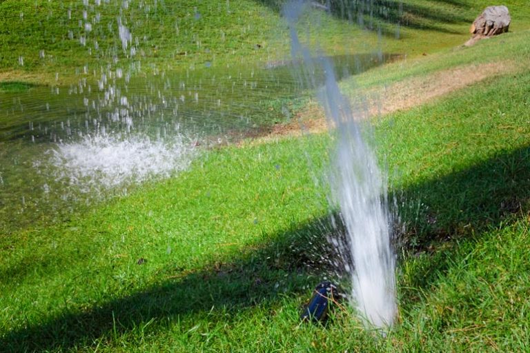 Signs Of Sprinkler System Problems CS Sprinklers
