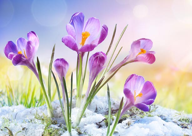 Sprinkler Activations