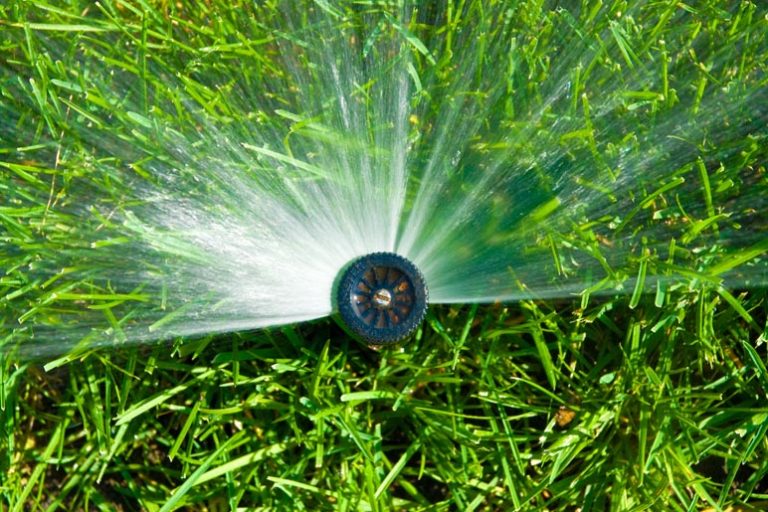 Benefits Of Hiring A Sprinkler Company CS Sprinklers