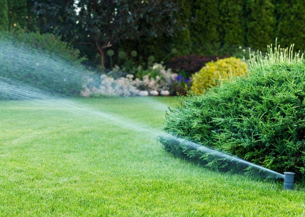 Sprinkler System