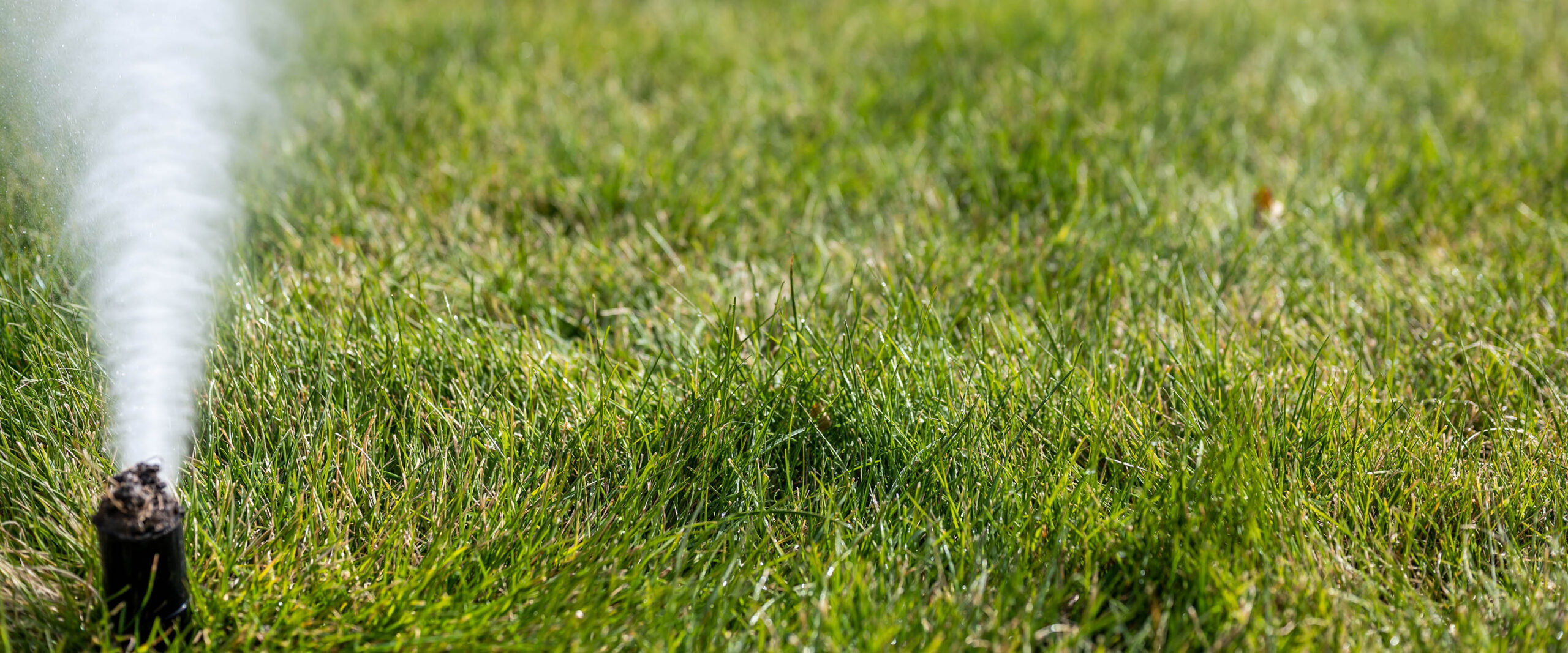 What To Do With Sprinklers For Winter CS Sprinklers