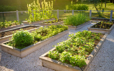 Integrating Raised Garden Beds with Your Existing Sprinkler System