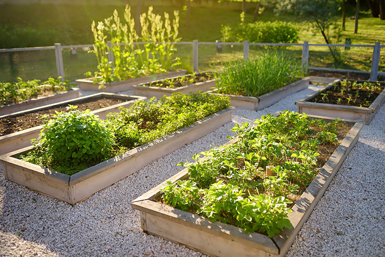 Integrating Raised Garden Beds with Your Existing Sprinkler System