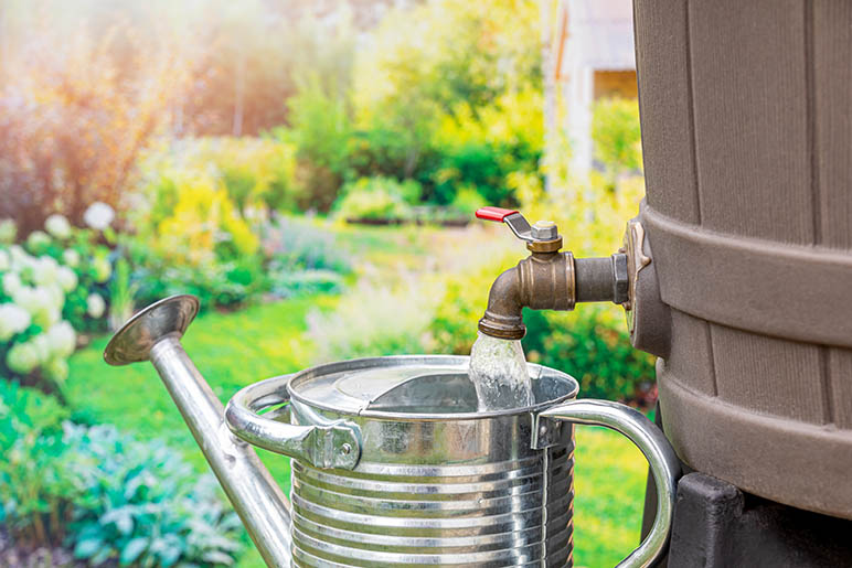 Denver Watering Regulations: What Homeowners Need to Know