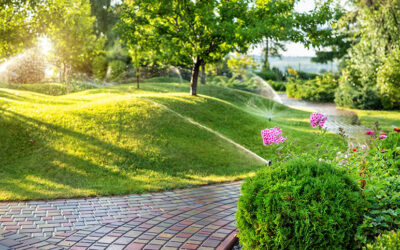 Common Sprinkler System Problems and How to Prevent Them