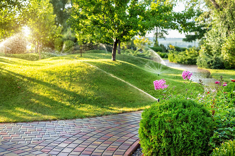 Common Sprinkler System Problems and How to Prevent Them