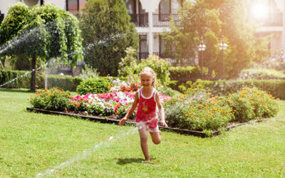 The Benefits of Hiring a Professional Sprinkler Company