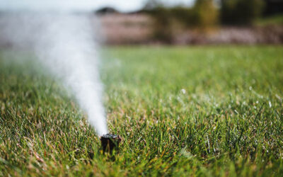 Preparing Your Sprinkler System for Denver’s Winter: A Step-by-Step Guide