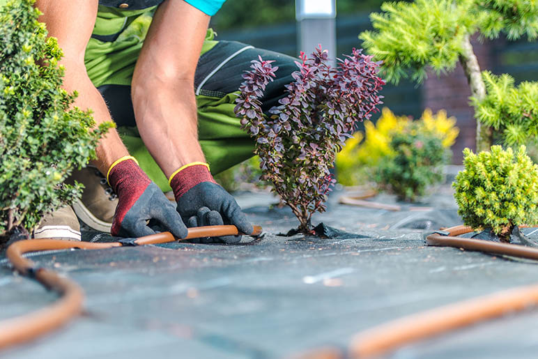 Drip vs. Spray: Which Irrigation Method Works Best for Colorado Gardens?