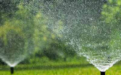 Seasonal Sprinkler Maintenance Checklist for Denver Homeowners