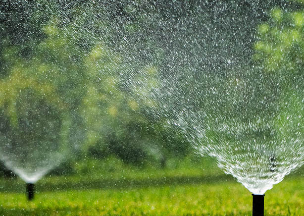 Seasonal Sprinkler Maintenance Checklist for Denver Homeowners