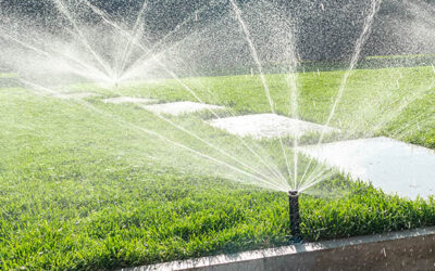 Understanding Sprinkler Repair Costs in Denver